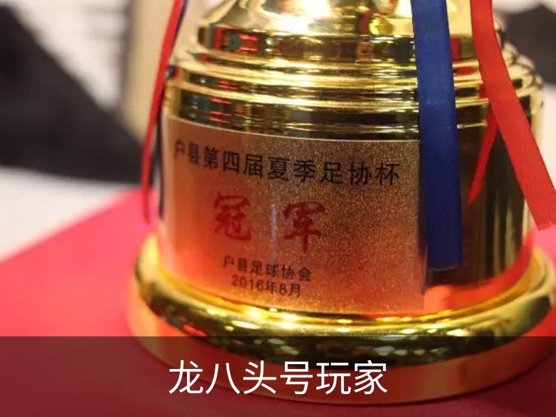 龙八(头号玩家)唯一官方网站